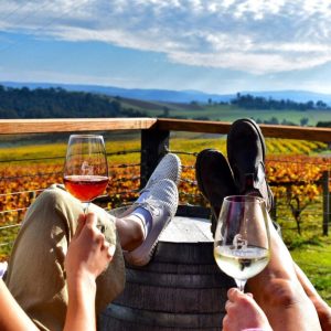 yarra valley vineyard with wine 